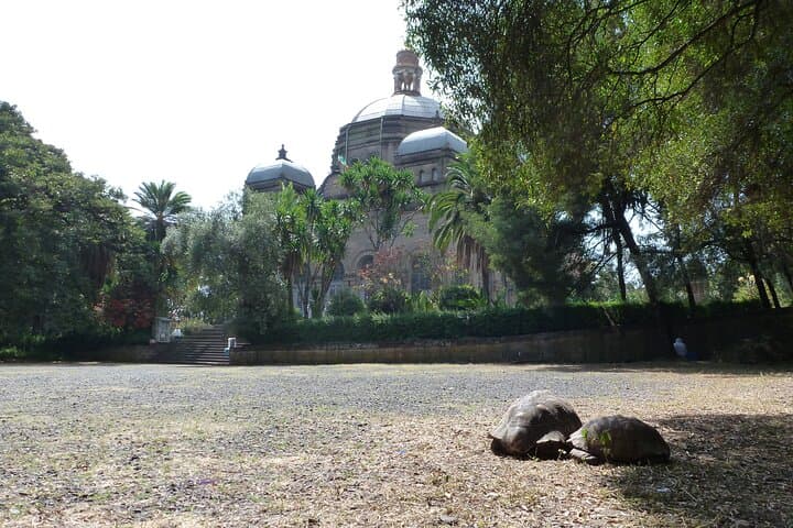 Hidden Treasures of Addis Ababa - Food, Culture and History Tour