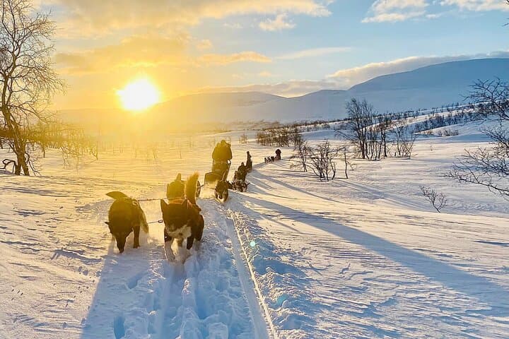 Private Dogsledding tour with a Night at our little Husky lodge