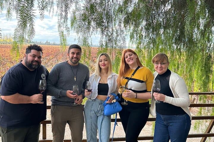 Vineyards with Wine Tasting in Mendoza