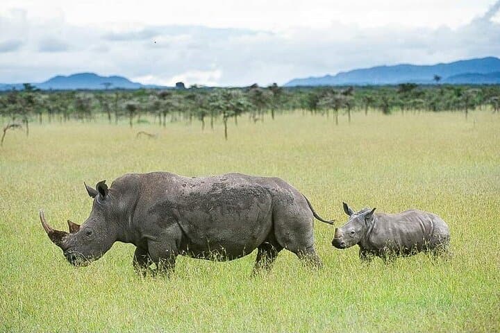 7-Days Wildlife and Outdoor activities in kenya