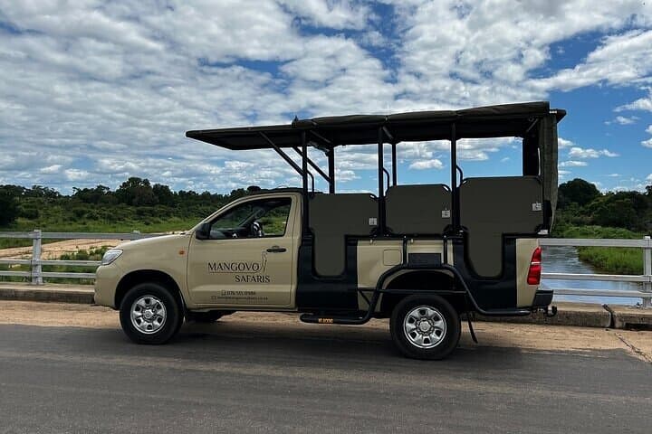 Private Full-Day Kruger National Park Safari 