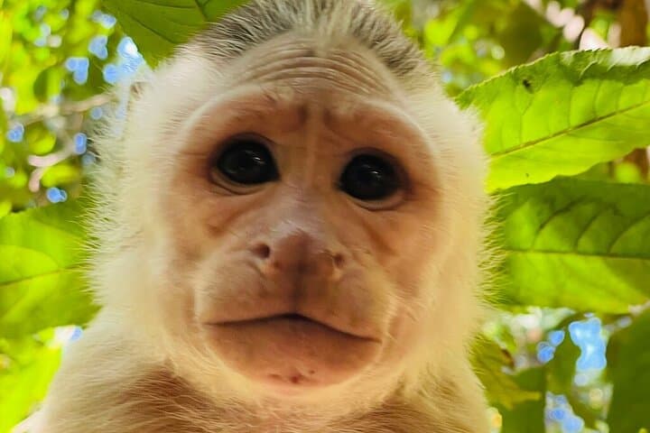 Tayrona Park Hike And Beach Day