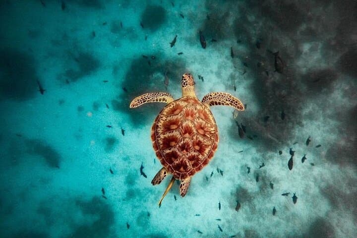 Salaam Cave Tour; Jambiani Beach; Kuza Cave; Paje Beach; The Rock