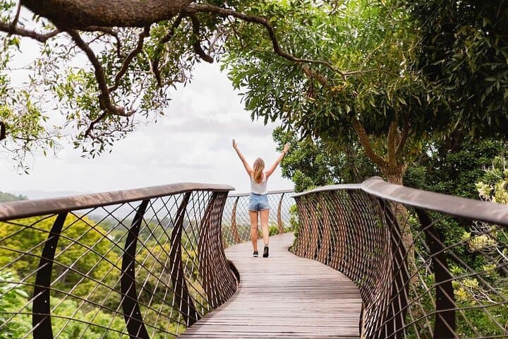 Half Day Tour: Table Mountain & KirstenBosch Botanical Gardens