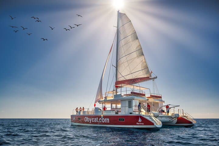 Catamaran Obycat Gran Canaria Tour
