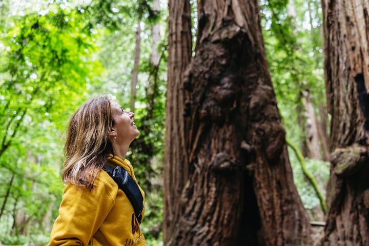 Muir Woods and Sausalito (Return by Bus or Ferry)