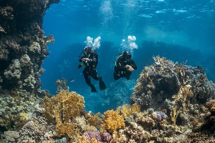  Scuba Adventure (Double Tank) – Reefs, Wrecks & Caves of Paros