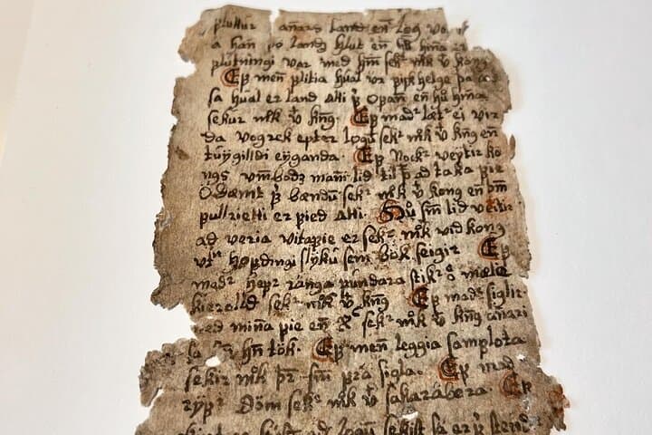 Old Icelandic Books Experience