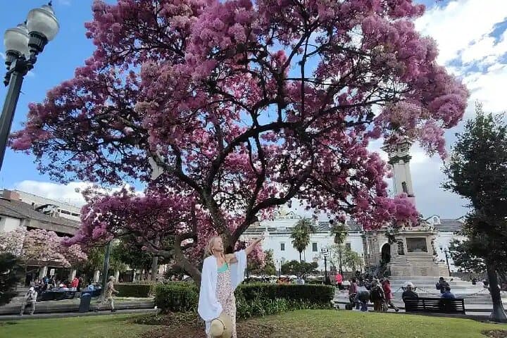 Full Day Quito City Tour: Middle of the World & Teleférico