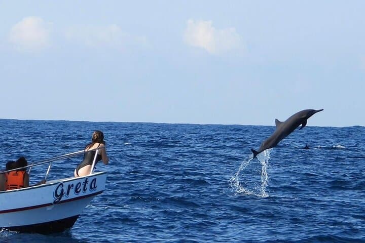Dolphin and Whale Watching Boat Trip in Puerto Escondido