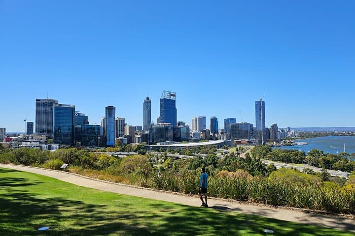 Perth, Penguin Isand, Dolphin Cruise, Fremantle & Sunset Coast