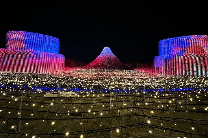 Tour to Enjoy Japan's Largest Illuminations and Outlet Shopping