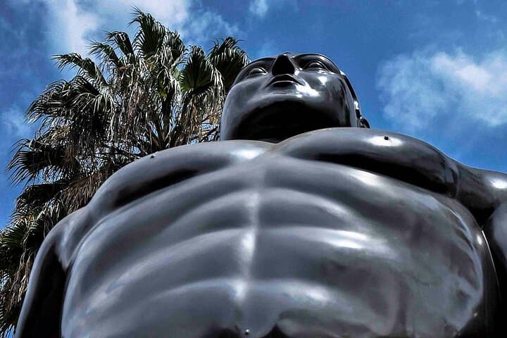 City Tour Medellin 4 Hours with Art Book Included