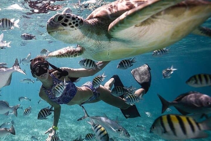 Bali Blue Lagoon Snorkeling with Optional Tours or Activities