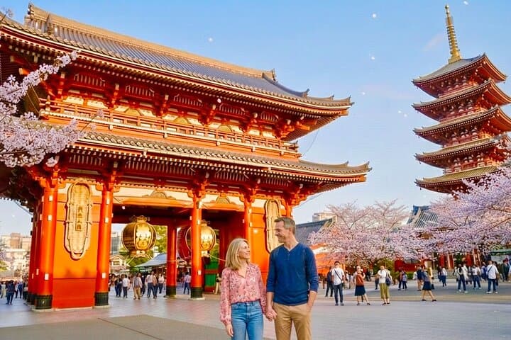 Get Unique Insights into Tokyo - Private Tour with local Guide