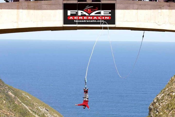 3 Day Big 5 and Bungee Tour - Garden Route Small Group Tour from Cape Town