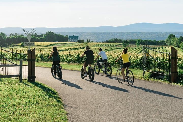 Quebec City - Guided E-Bike Tour & Tastings - Ile d'Orléans