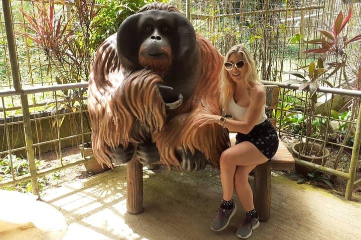 Ipoh Heritage & Orang Utan Island Day Tour from Kuala Lumpur