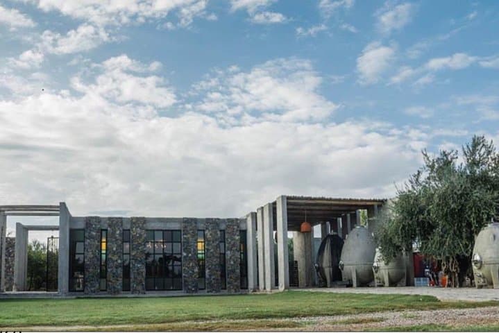 Trapiche and Lunch The Enemy (Michelin) + Private transportation