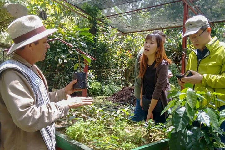 Coffee Plantation Tour From Bogota