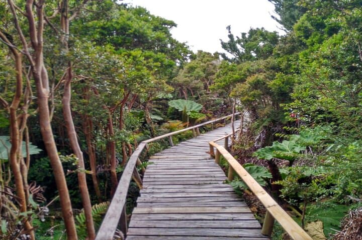 Chiloe National Park and Chonchi "Darwin Route"