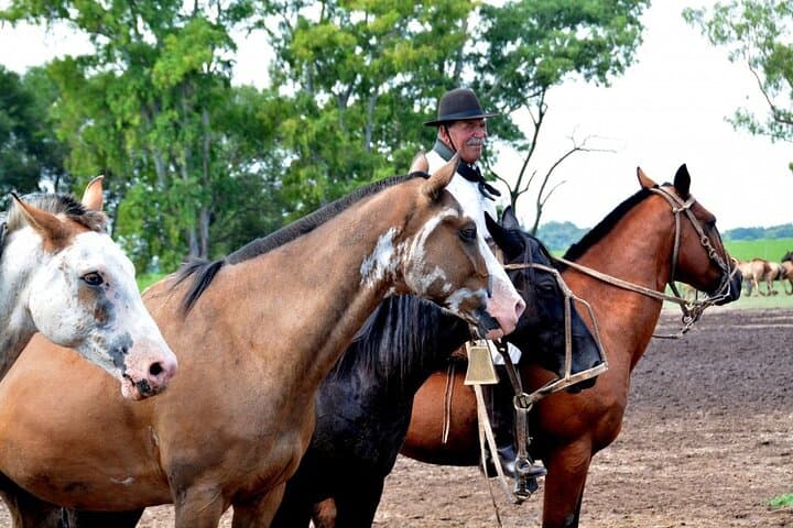 Gaucho Day Trip from Buenos Aires: Santa Susana Ranch