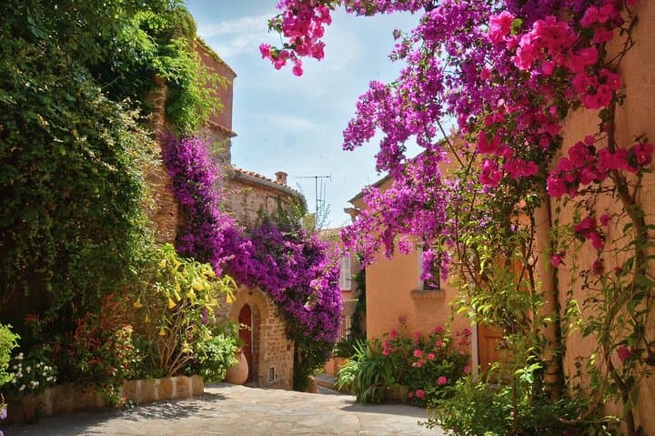 Private Tour from Saint-Tropez to the flowers city