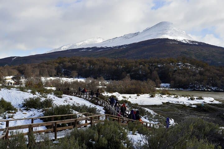 Tierra del Fuego National Park - USHUAIA (Shared tour)