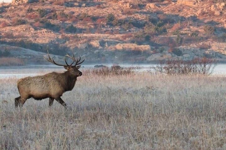 Lake Louise, Banff Gondola, Minnewanka and Banff Town Tour