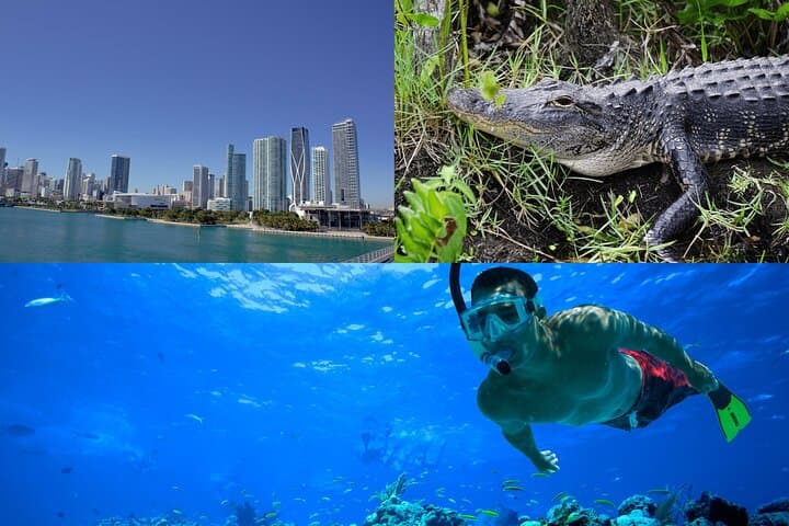 3-Day Florida: Miami Bus & Boat, Everglades & Key West Snorkeling