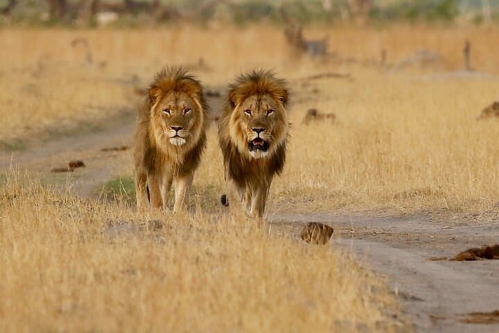 5-Day Explore Zimbabwe, Zambia and Botswana