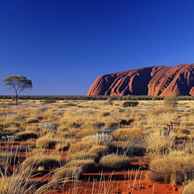 Picture of Uluru, Petermann NT, Australia