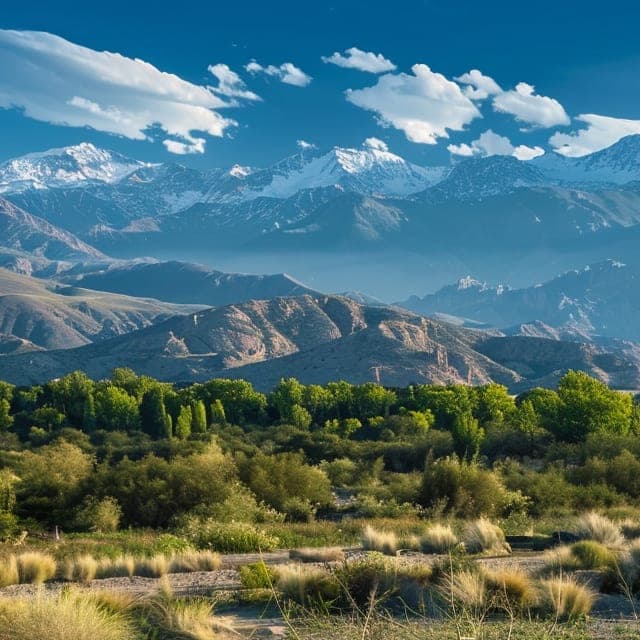 Picture of Mendoza, Capital Department, Mendoza Province, Argentina