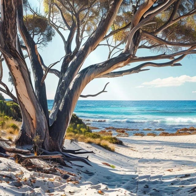 Picture of Esperance WA, Australia