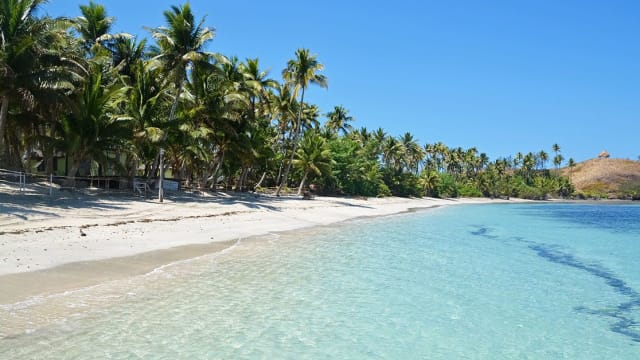 Teaching Program in Fiji