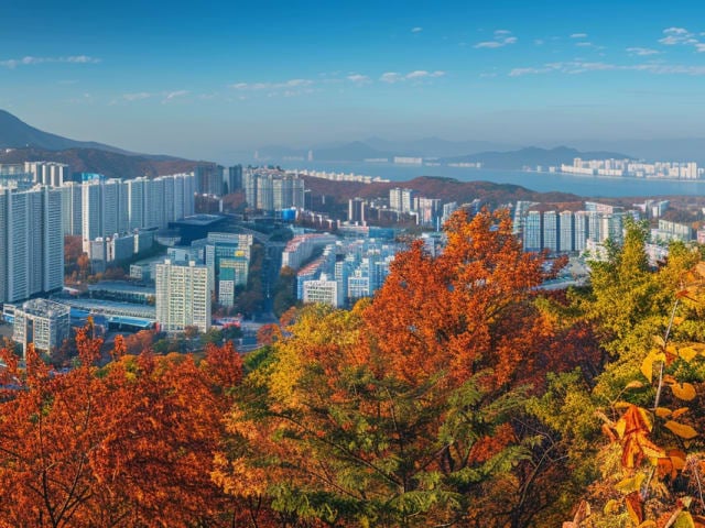 Ulsan Travel Guide | Business | Autumn 2025
