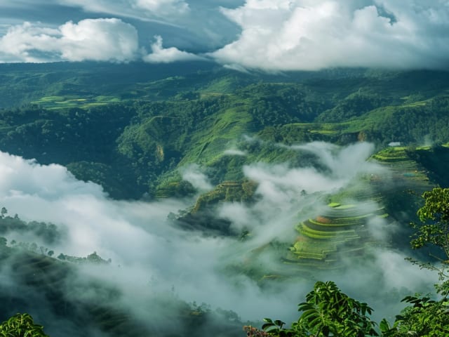 Meghalaya Travel Guide | Family-friendly | Summer 2025