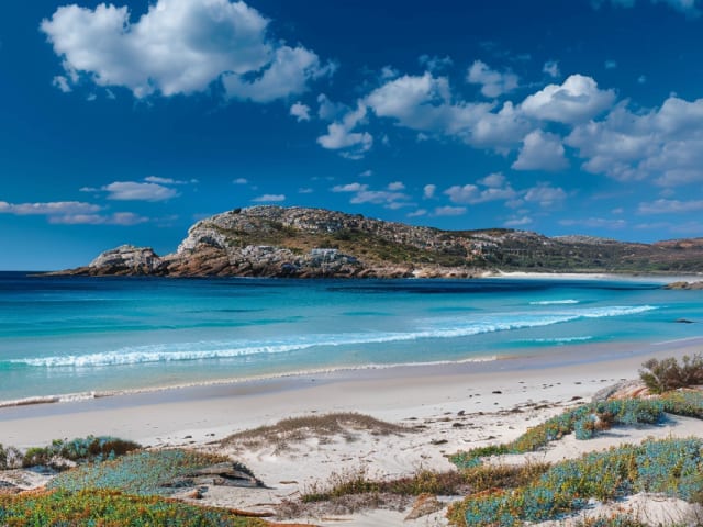 Esperance Travel Guide | Senior | Spring 2025
