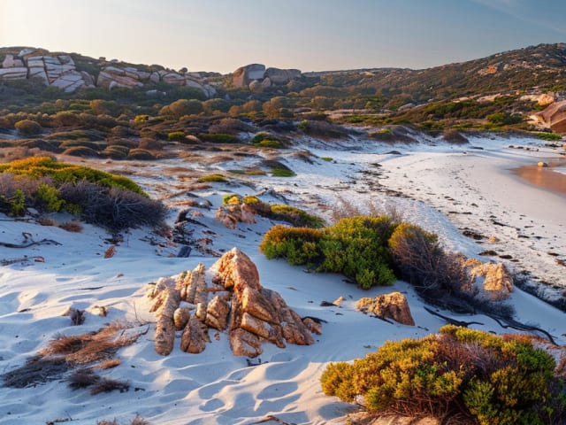 Esperance Travel Guide | Solo | Spring 2025