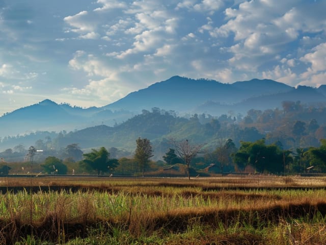 Chiang Mai Travel Guide | Digital Nomad | Winter 2025