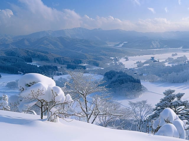 Honshu Travel Guide | Friends Trip | Winter 2026